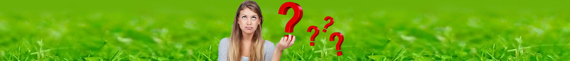 Информация. Студия подарков и сувениров в Гродно